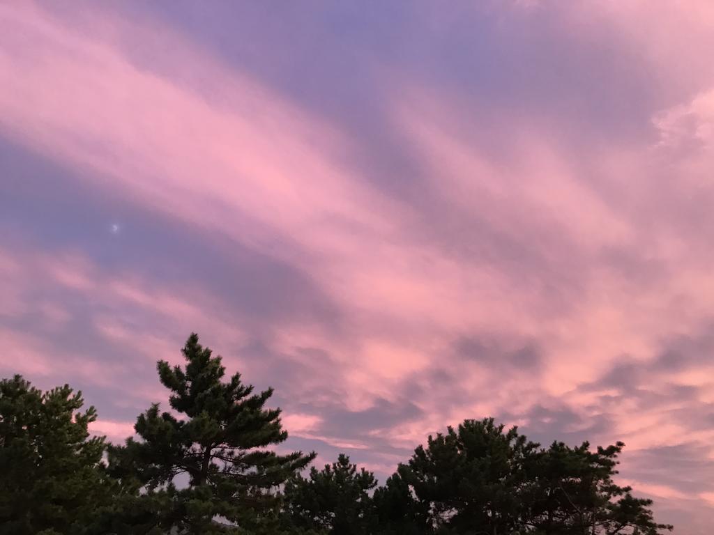 Minshuku Tairyoumaru Amakusa  Dış mekan fotoğraf