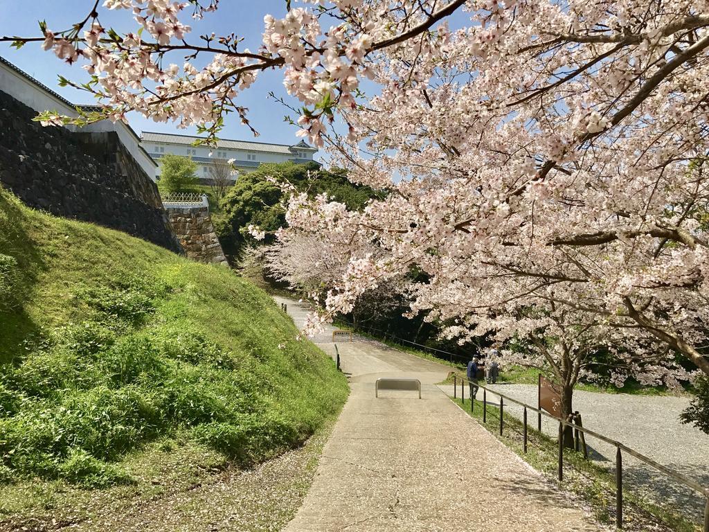 Minshuku Tairyoumaru Amakusa  Dış mekan fotoğraf