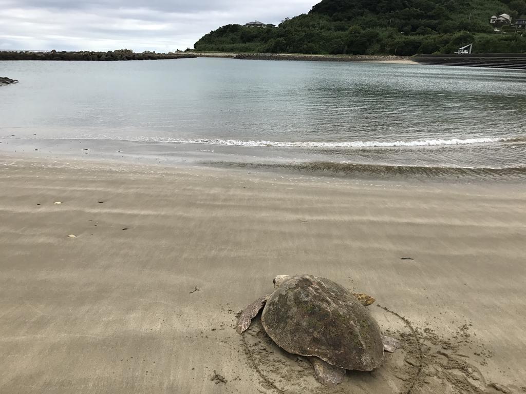 Minshuku Tairyoumaru Amakusa  Dış mekan fotoğraf