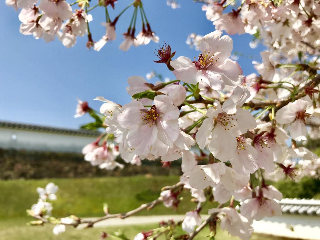 Minshuku Tairyoumaru Amakusa  Dış mekan fotoğraf